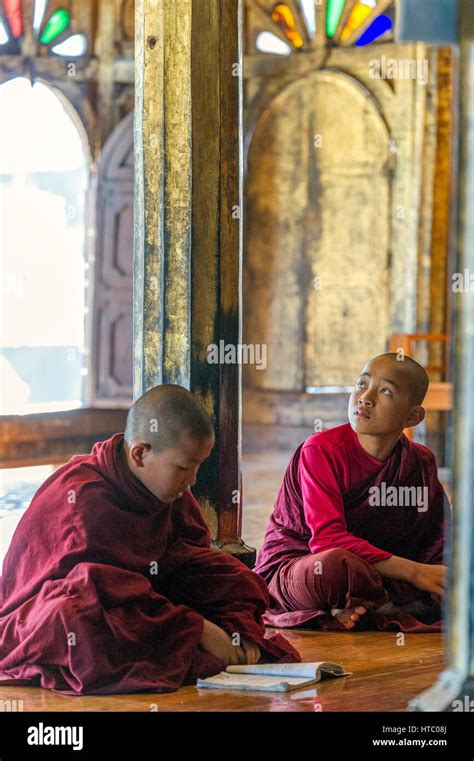 shwe shan.